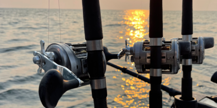 2022 Virtual Great Lakes Fishing Show - Fish Hawk Electronics