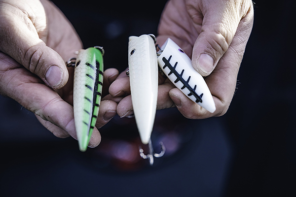 salmon plugs